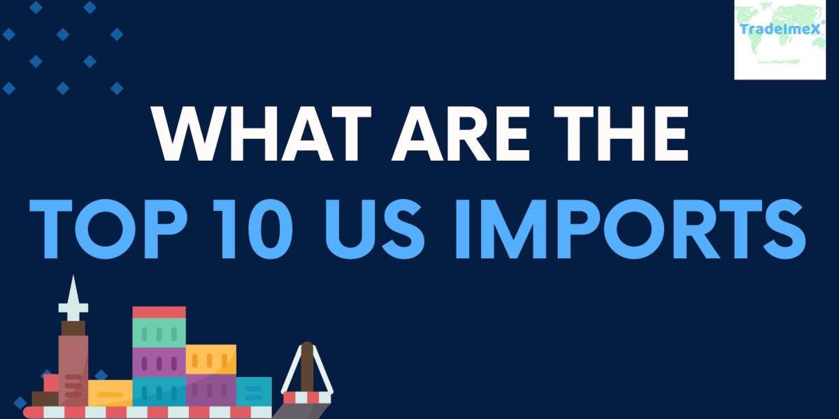 What are the Top 5 Items that the US Imports?