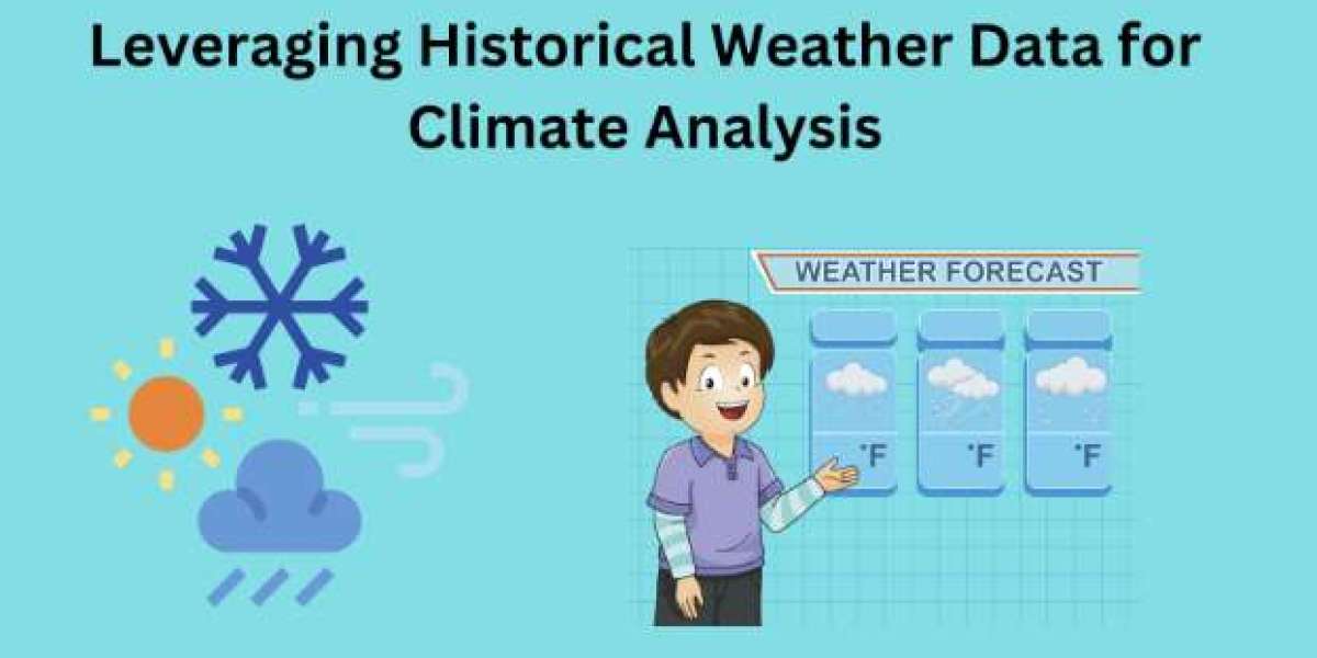 Navigating Weather Data with the Best Free Weather APIs