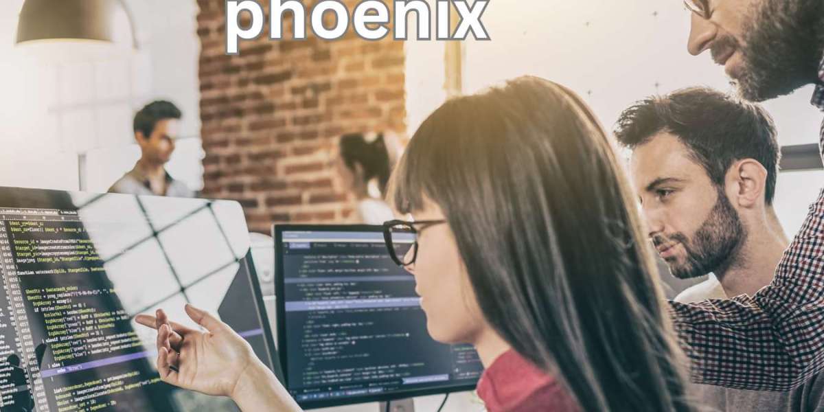 Unlocking Career Opportunities: A Guide for Software Developer Phoenix