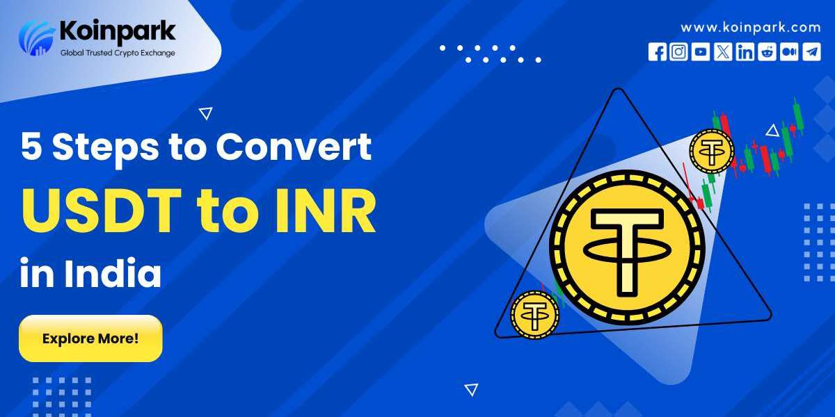 5 Steps to Convert USDT to INR in India