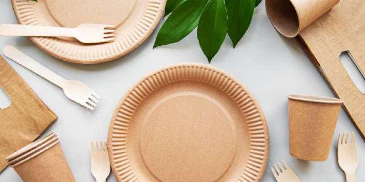 Biodegradable Tableware Market Insights: Drivers, Key Players, and Forecast 2030