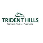 Trident Hills Panchkula Luxury Residential P