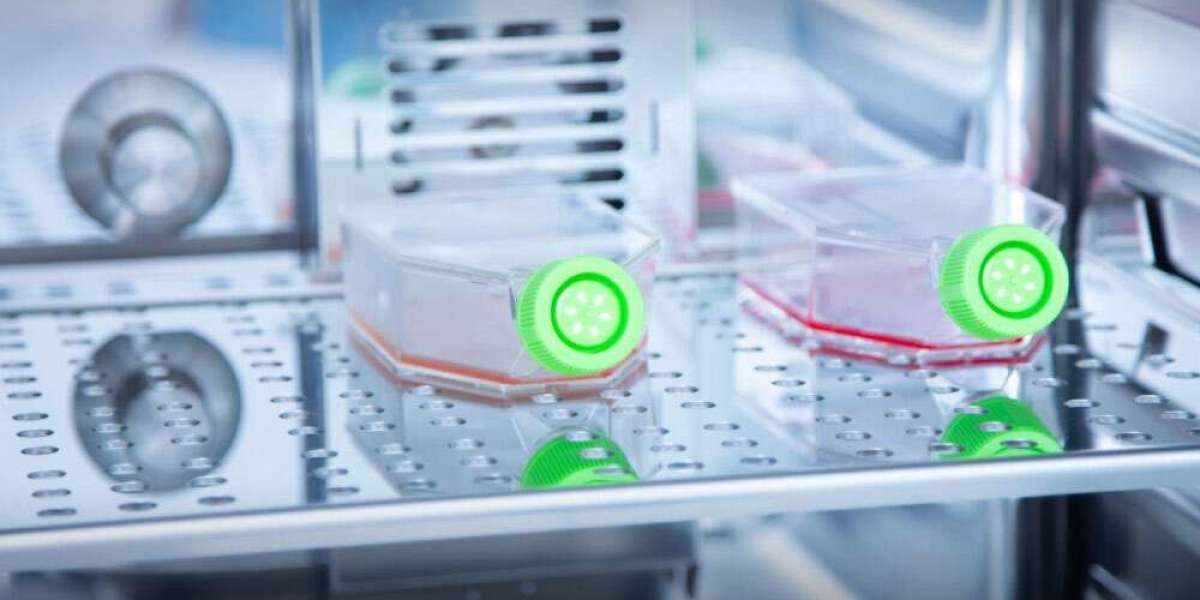 From Analysis to Action: Bioprocess Containers Market Research Report