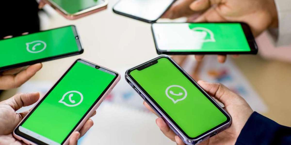 Game-Changing WhatsApp Campaigns: A Blueprint for Success
