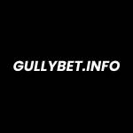 GullyBet Info