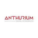 Anthurium Noida