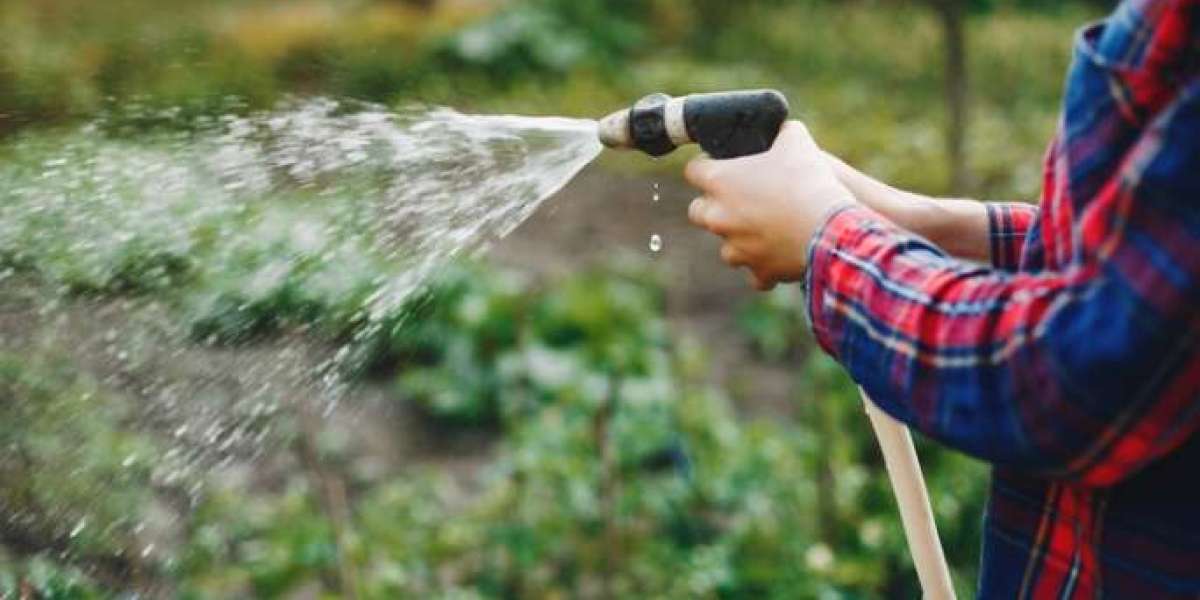 Landscape Irrigation Services Near Me: Enhancing Your Outdoor Oasis