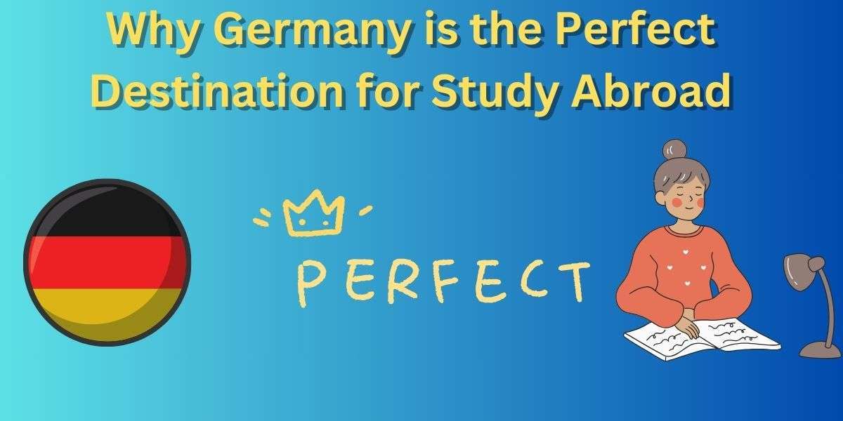 Why Germany is the Perfect Destination for Study Abroad
