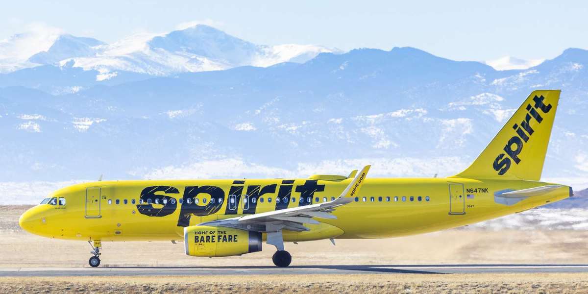 Book On Call Spirit Airlines Flights