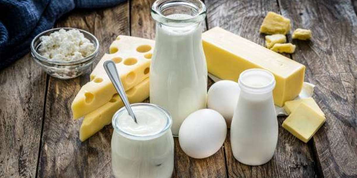 Dairy By-Products Market Size, Top Competitors, Growth by Regional Investment 2030