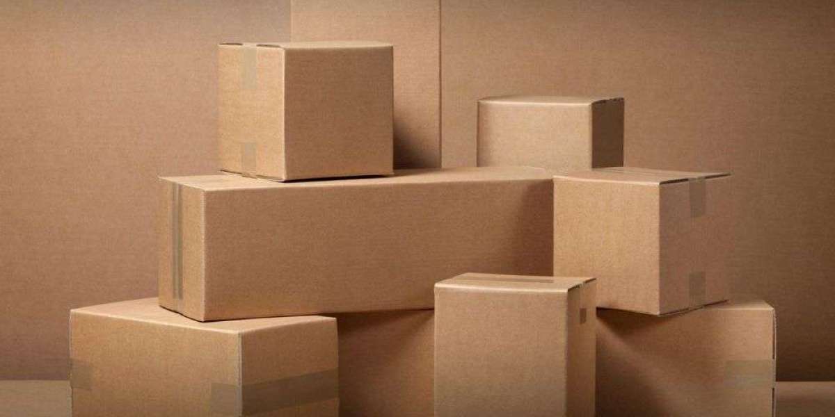 Forecasting the Future: A Deep Dive into Carton Packaging Market Research