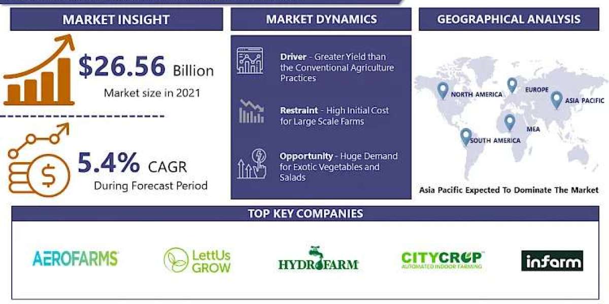 Hydroponics Market Set for Rapid Growth And Trend, by 2030
