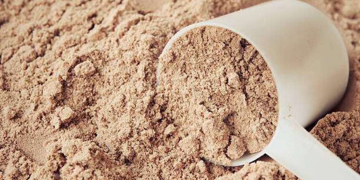Whey Market Size Research by Manufactures, Growth Rate, Revenue, and Forecast to 2030