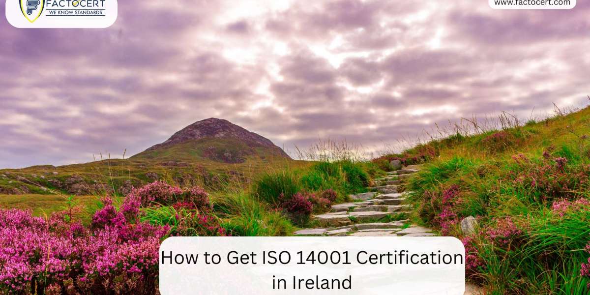 How to Get ISO 14001 Certification in Ireland?