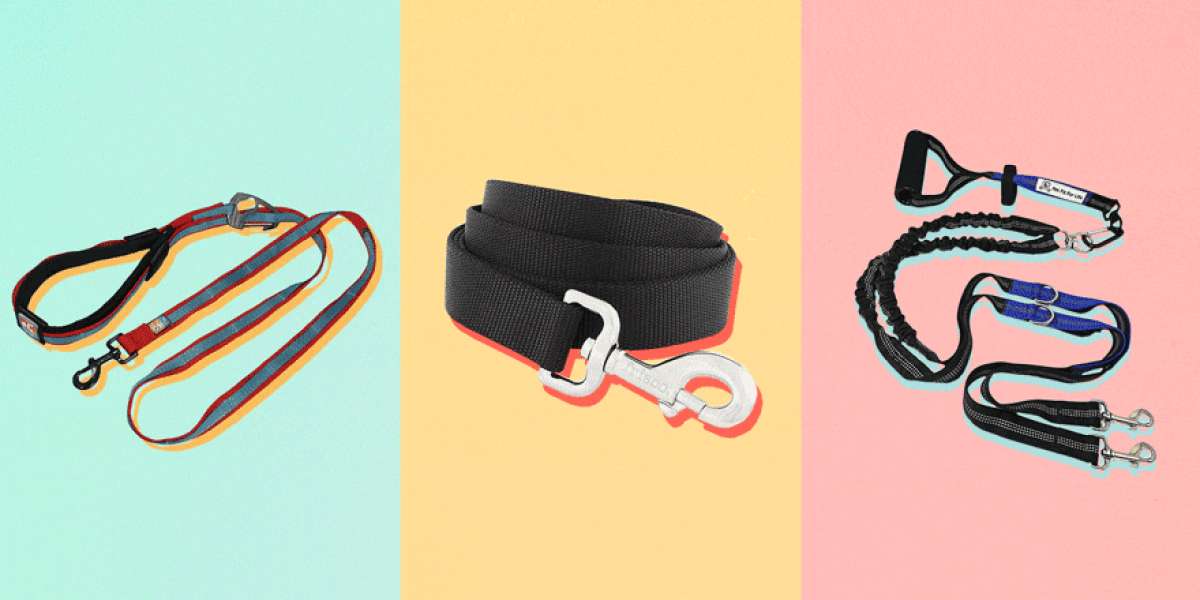 Dog Leashes Finding the Perfect Fit for Your Pup