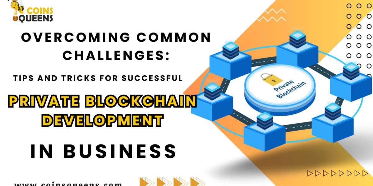 Overcoming Common Challenges: Tips and Tricks for Successful Private Blockchain Development in Business