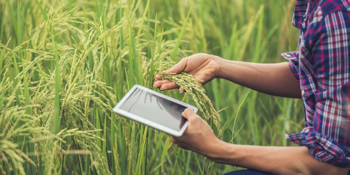 Smart Crop Monitoring Market Innovation Trends and New Business Models by 2032