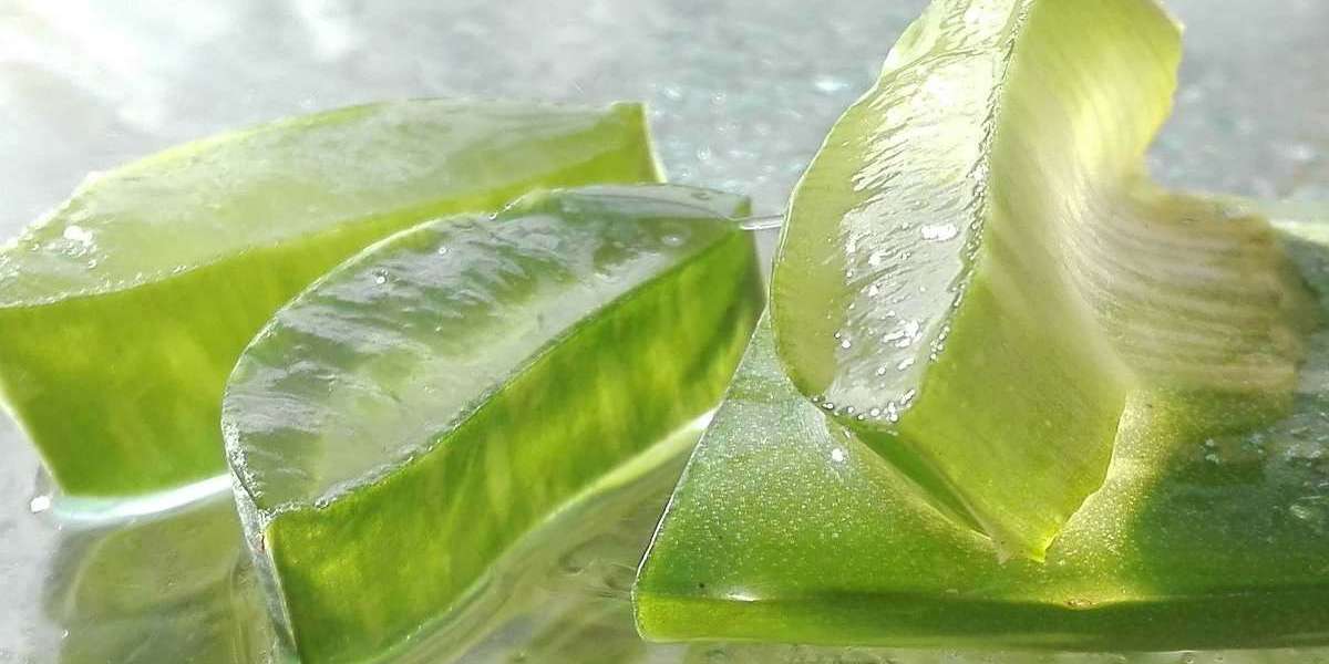 Aloe Vera Gel Manufacturing Plant Project Report 2024: Raw Materials, Cost Analysis, and Machinery Requirements