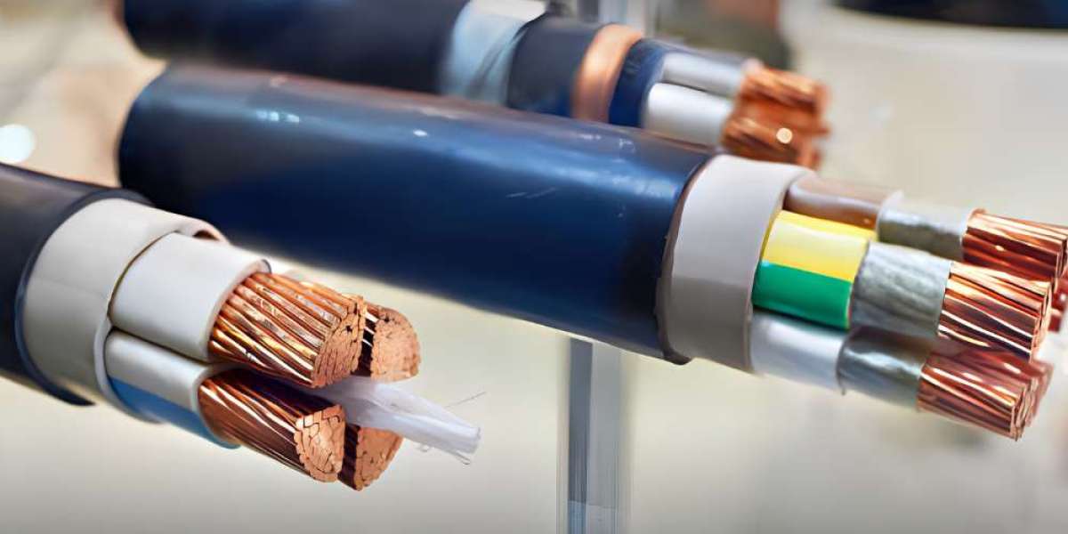 EHV AC and HVDC in XLPE Onshore Land Cables and Accessories Market: Research Report on Growth Insights