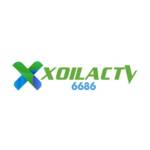 xoilac venturesity Profile Picture