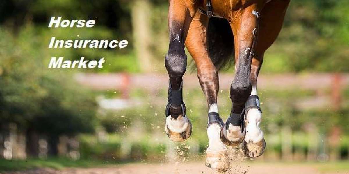 Horse Insurance Market to Grow with a CAGR of 13.08% Globally