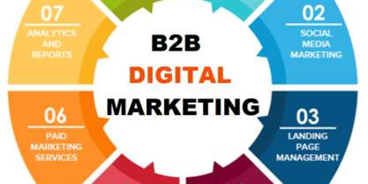 B2B Digital Marketing Agency  India
