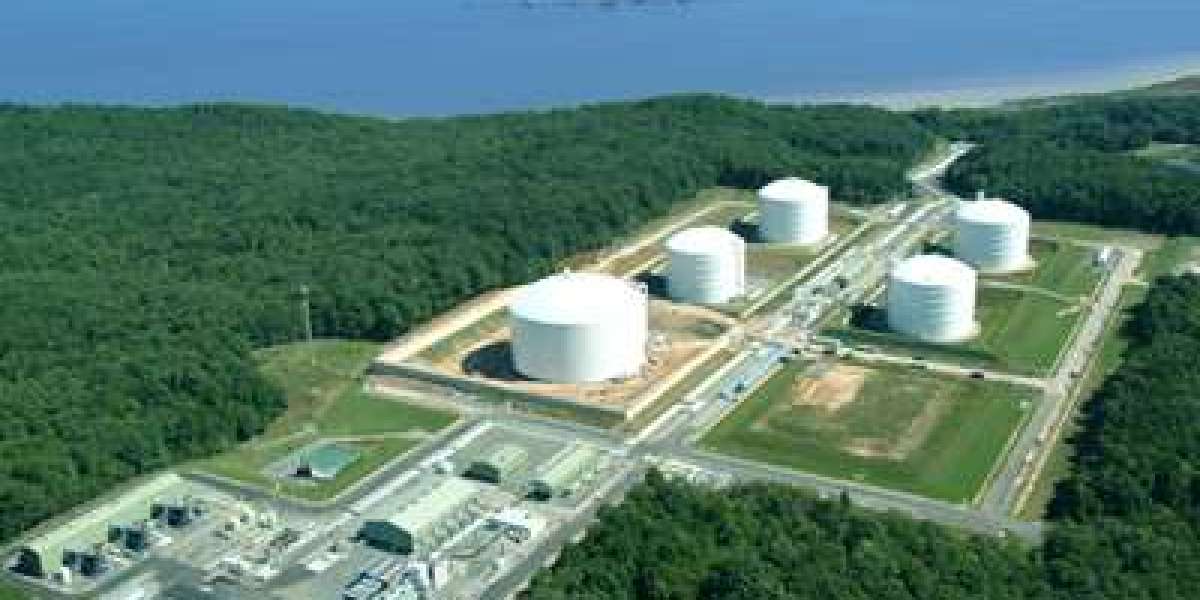 Unveiling Opportunities: A Comprehensive Analysis of the Liquefied Natural Gas (LNG) Liquefaction Equipment Market