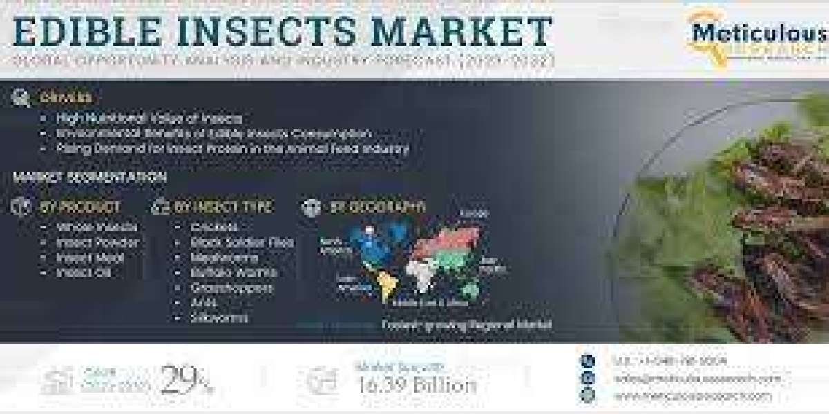 Edible Insects Market to be Worth $16.39 Billion by 2032