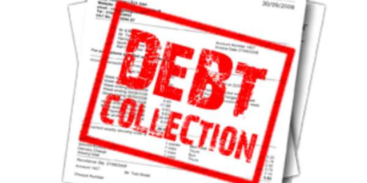 What is debt management collection?