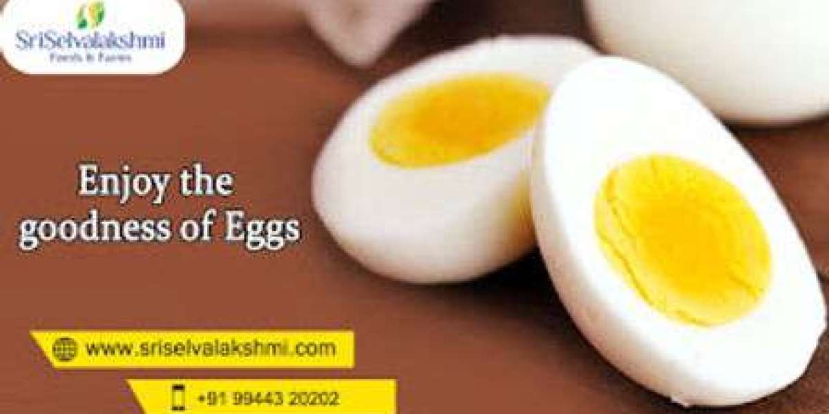 Egg Wholesale Price in Namakkal | Namakkal Egg Suppliers