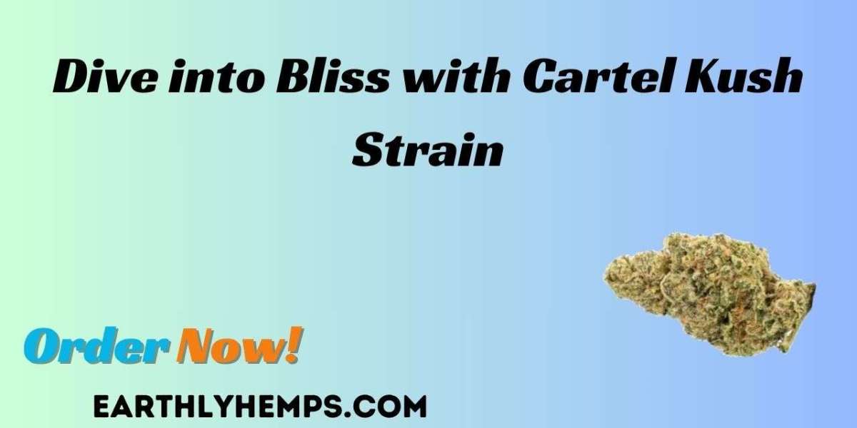 Earthly Hemps Presents: Dive into Bliss with Cartel Kush Strain