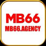 Mb66 agency