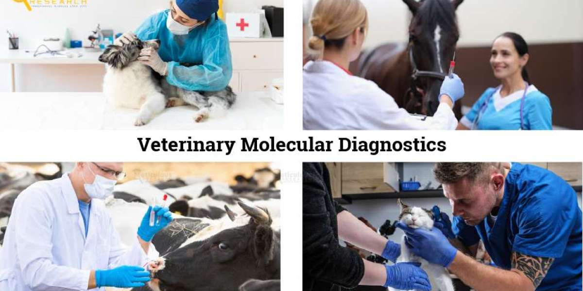 Veterinary Molecular Diagnostics Market Worth $1.13 Billion by 2029