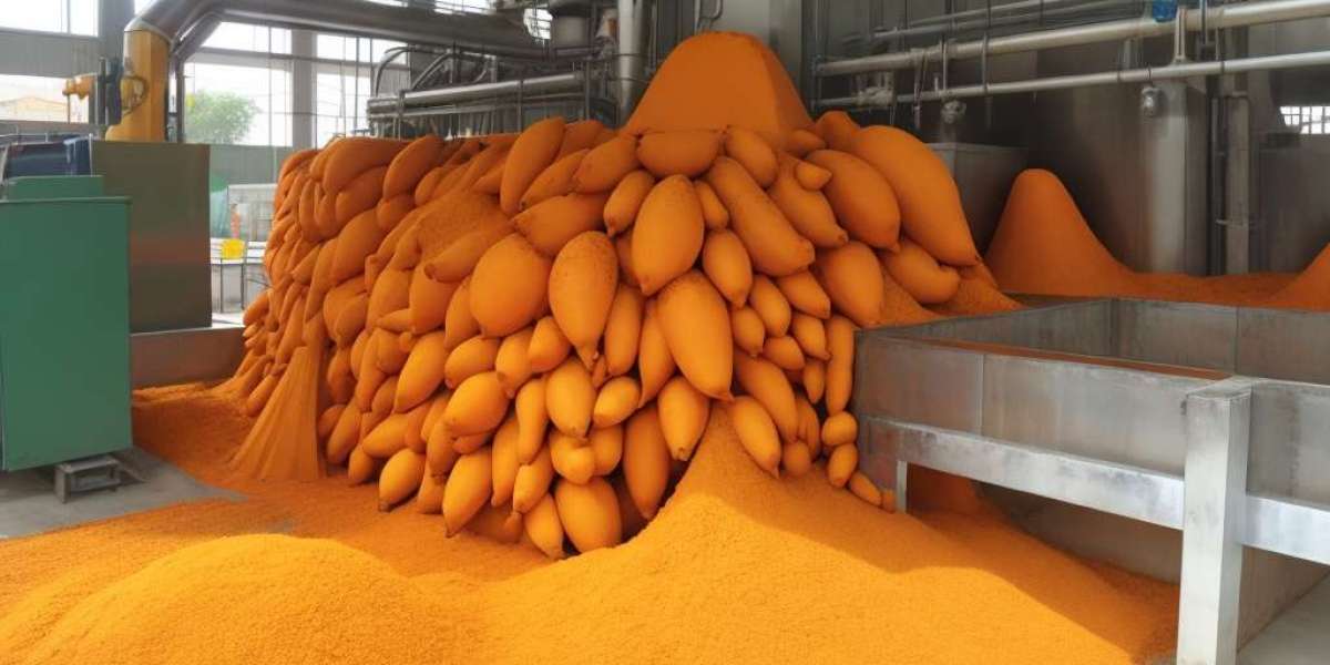 Turmeric Processing Plant Project Report 2024: Industry Trends, Investment Opportunities, Cost and Revenue