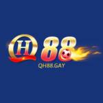 QH88 gay