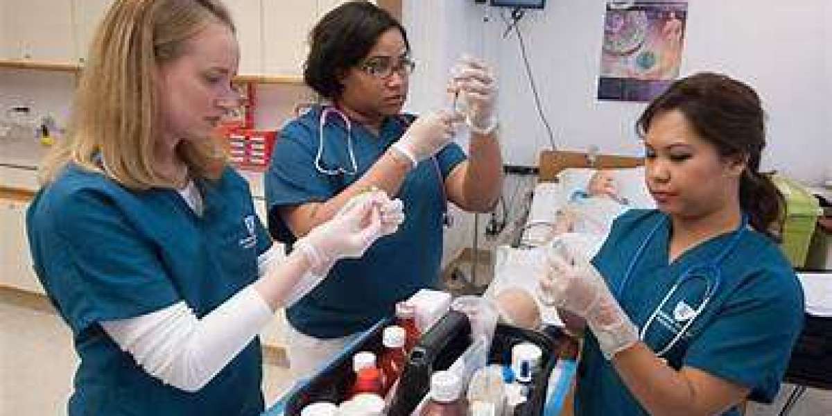 Title: The Vital Significance of Records and Reports in Nursing: Safeguarding Patient Care and Enhancing Professional Pr