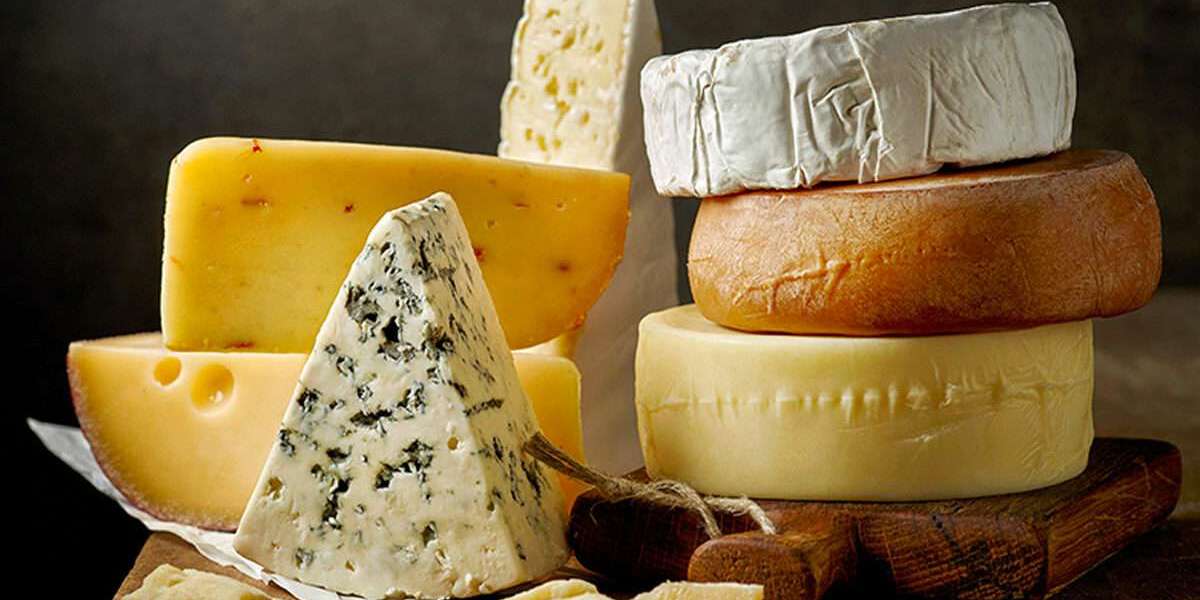 Cheese Manufacturing Plant Project Report 2024: Business Plan and Cost Analysis