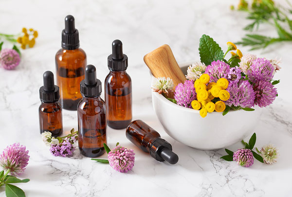 Top 10 Ayurvedic Herbal Companies in India | Herbal Company