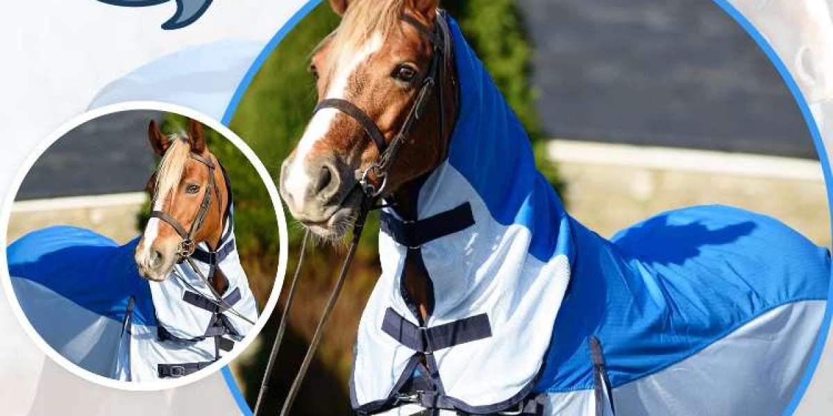 Horse Rugs: Finding the Best Fit for Your Equine Companion