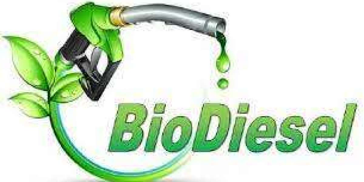 Biodiesel Market Report Growth Opportunity Report 2023-2030