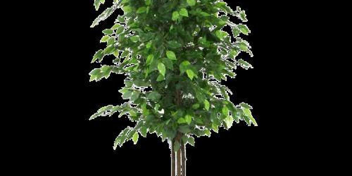 Stunning Artificial Trees in Australia to Add Greenery to Your Space