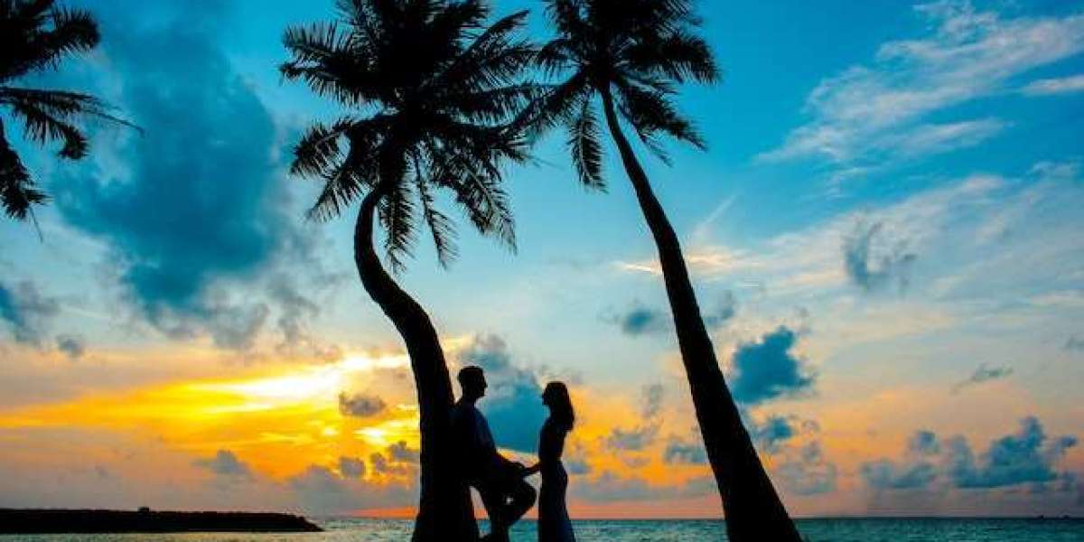 Enchanting Escapes: Discovering the Best Honeymoon Destinations in Kerala with Kerala Honeymoon Packages