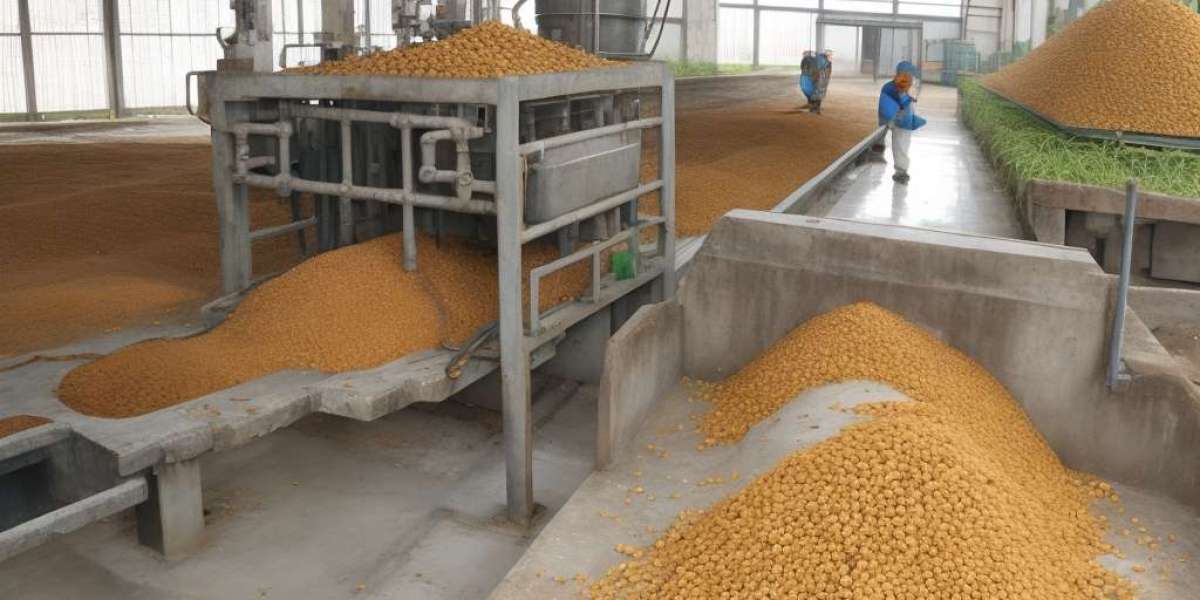 Ginger Processing Plant Project Report 2024: Raw Materials, Investment Opportunities, Cost and Revenue