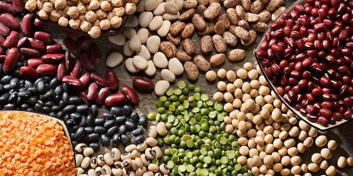Canned Beans Manufacturing Plant Cost and Project Report: Raw Materials, Plant Setup, and Machinery Requirements | Syndi