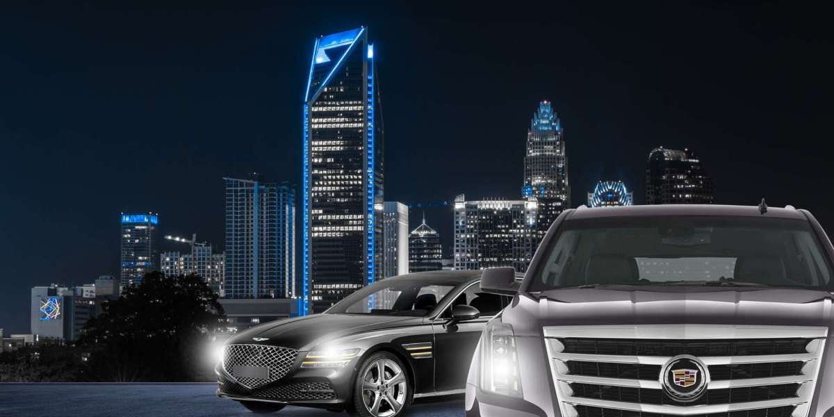 The Art of Luxury: Navigating the World of VIP Services