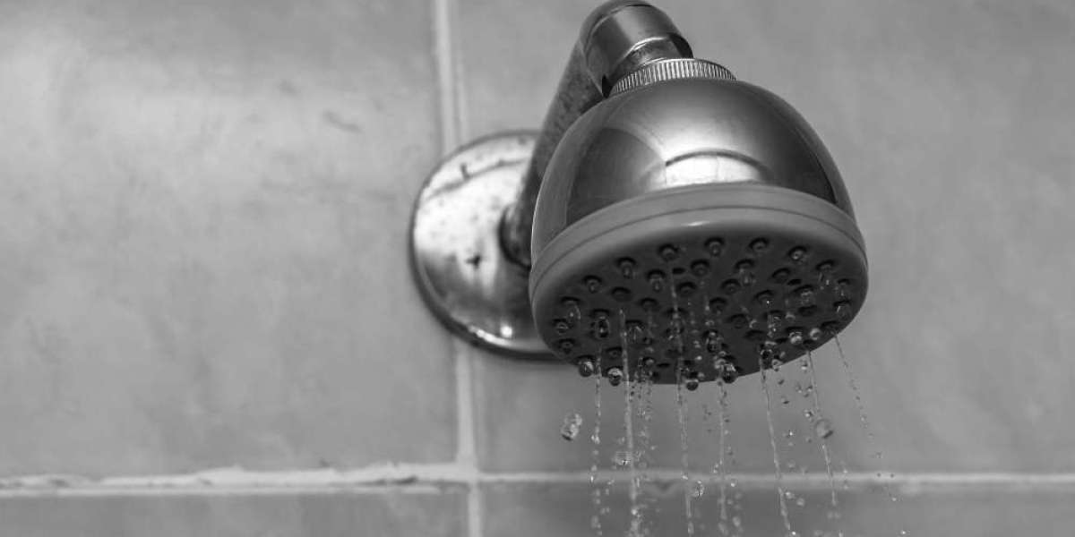 Enclosed Gravity Fed Safety Shower Market Size, Share, Trends,Forecast 2032