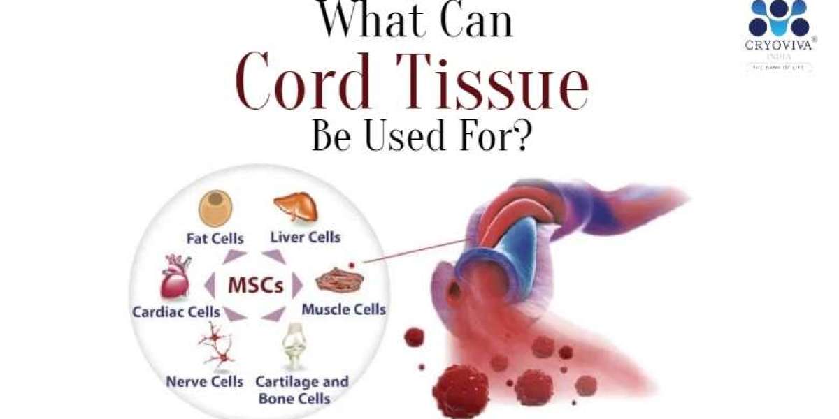 Cord Tissue Explanation