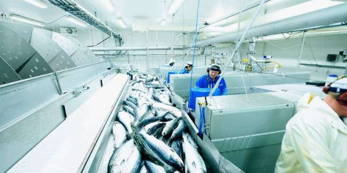 Fish Processing Market (2030)  Analysis & Projected Recovery, and Market Sizing & Forecast