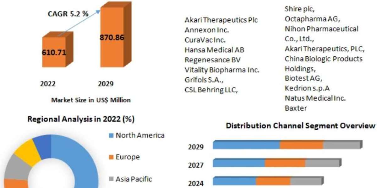 Patient Lifting Equipment Market Revenue Growth Regional Share Analysis and Forecast Till 2029