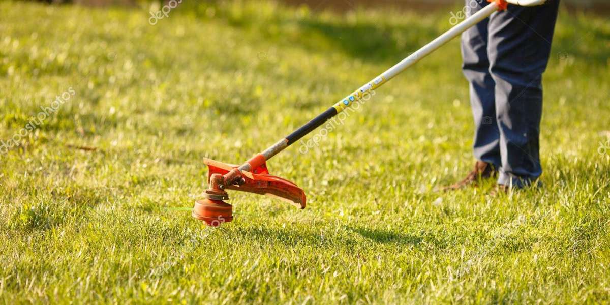 Get a Weed-Free Lawn: Professional Lawn Mowing and Weed Removal Services
